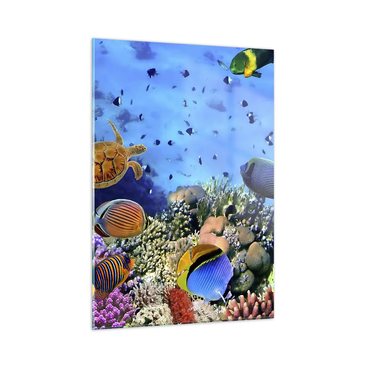 Obraz na skle - Co víme o životě… - 50x70 cm