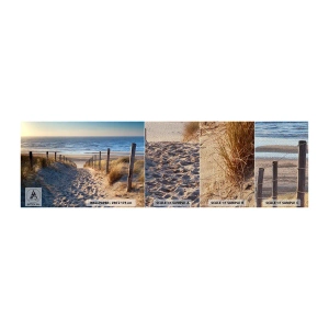 Vzor Fototapety Premium Sand - Šumění moře, zpěv ptáků, divoká pláž uprostřed trávy… - Krajina, Pláž, Duny - 100x30 cm