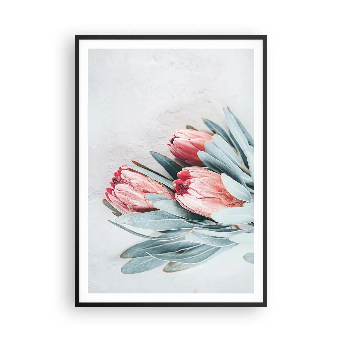 Plakát v černém rámu - Zahanbené svou vlastní krásou - 70x100 cm