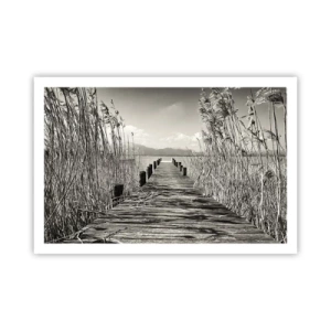 Plakát - V ústraní travin - 91x61 cm