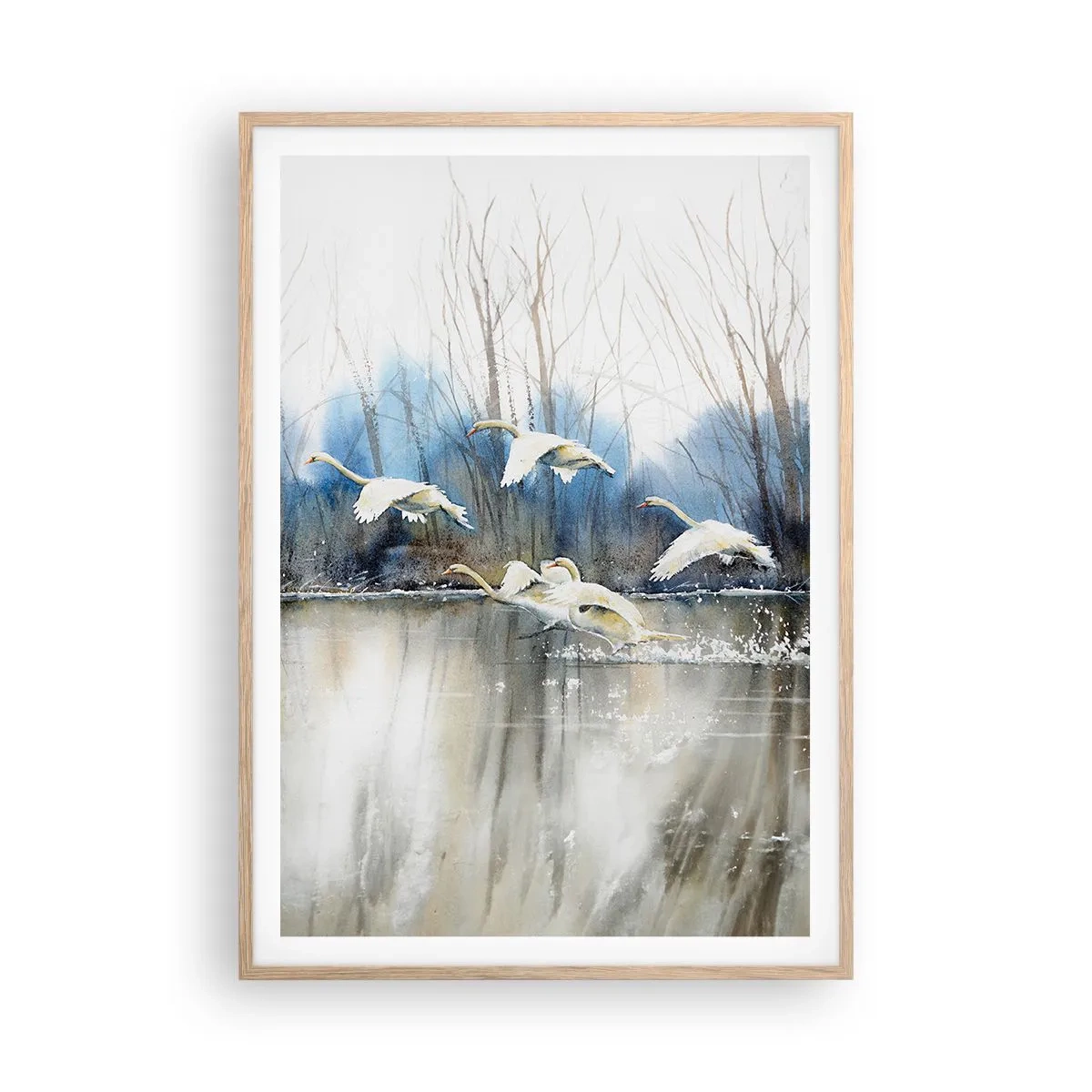 Plakát v rámu světlý dub - Jako v povídce o divokých labutích - 70x100 cm