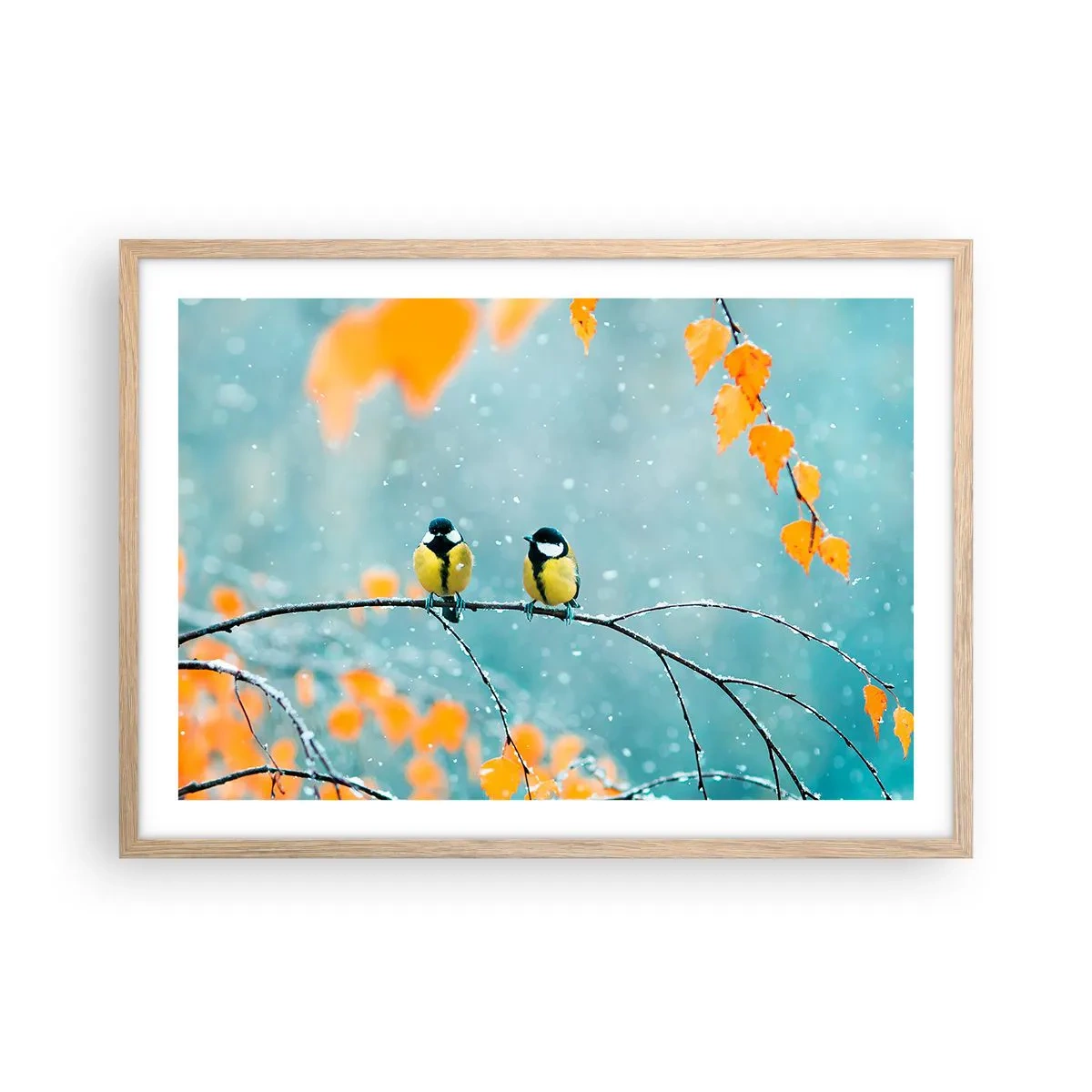 Plakát v rámu světlý dub - Ptačí drby - 70x50 cm