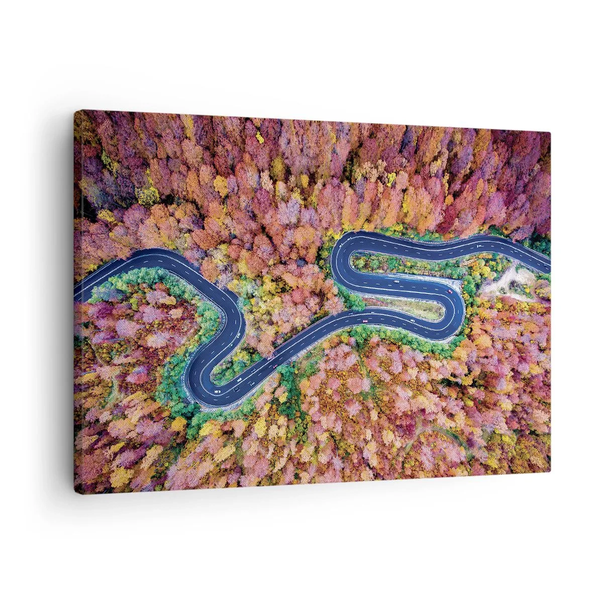 Obraz na plátně - Klikatá cesta v podzimním lese z ptačí perspektivy - 70x50cm - Klikatá cesta lesem - Moderní nástěnná dekorace do obývacího pokoje a ložnice ARTTOR
