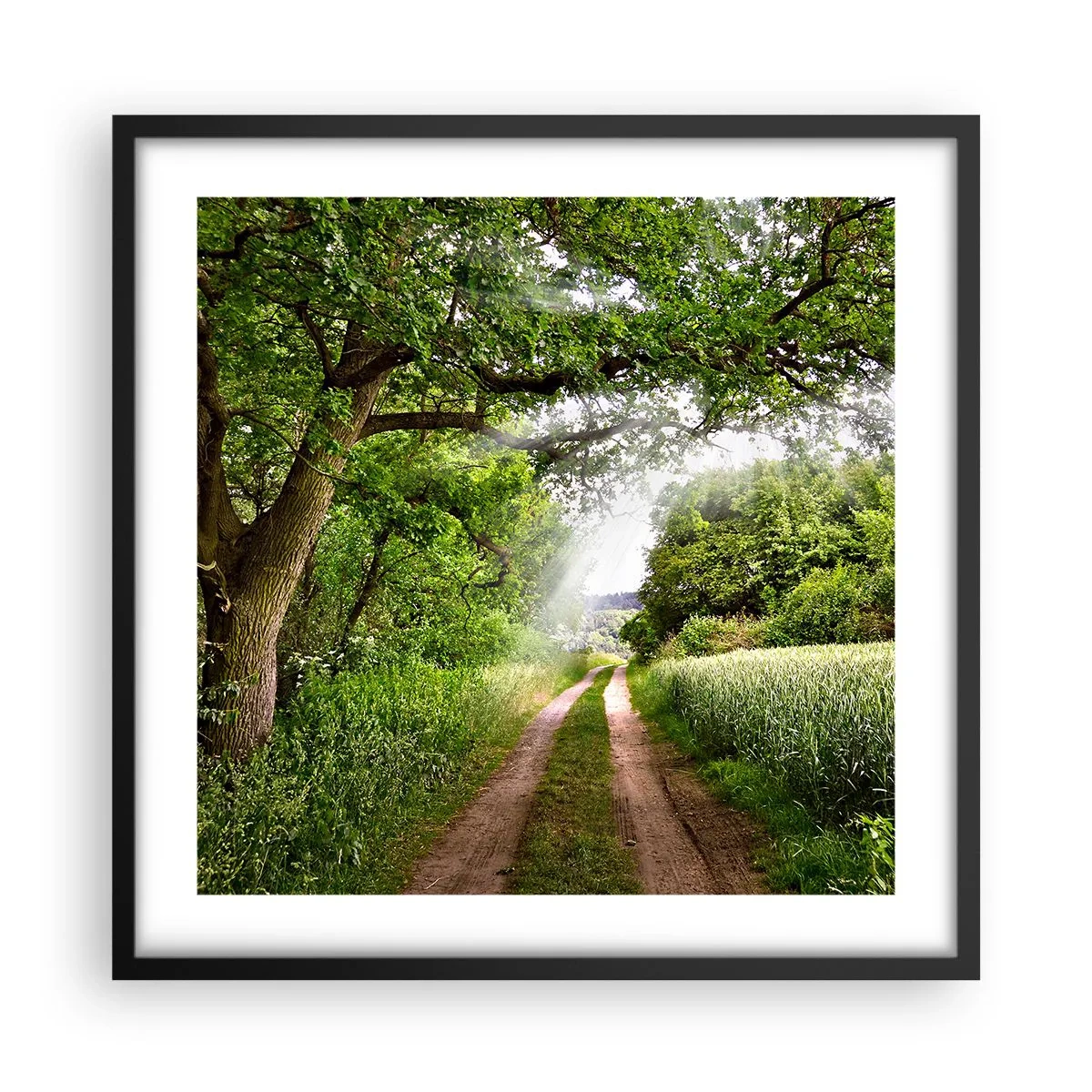 Plakát v černém rámu - Et in Arcadia ego - 50x50 cm