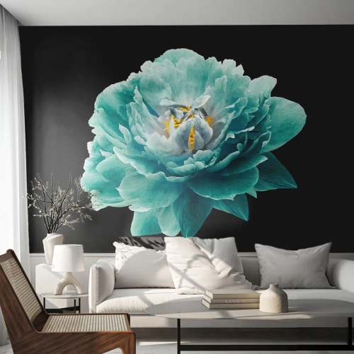 Fototapeta Standard Eco - Modrá pivoňka květ na černém pozadí - 100x70cm - Modré a zlaté okvětní lístky - Moderní nástěnná dekorace do obývacího pokoje a ložnice ARTTOR