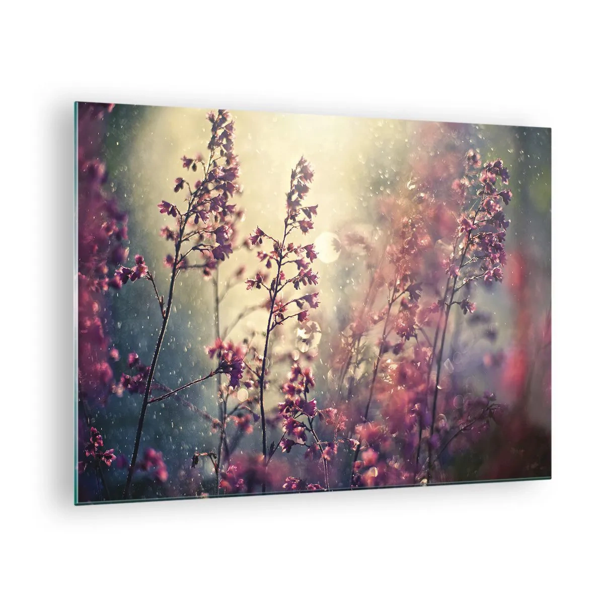 Obraz na skle - Květiny na slunci v jemném dešti - 70x50cm - Tajná zahrada - Moderní nástěnná dekorace do obývacího pokoje a ložnice ARTTOR