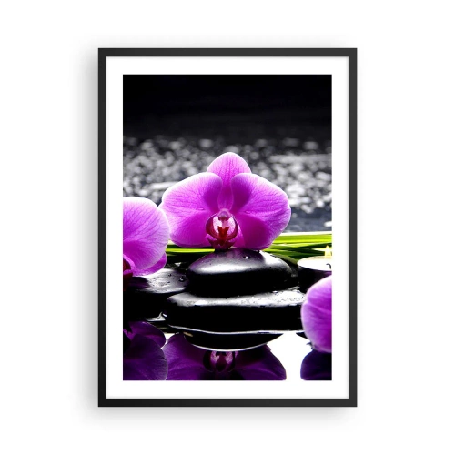 Plakát v černém rámu - Fialová orchidej na pozadí kamenů a vody v lázeňském prostředí - 50x70cm - Utonout v tichu a klidu - Moderní nástěnná dekorace do obývacího pokoje a ložnice ARTTOR