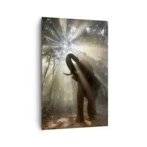 Obraz na plátně - Pod šťastnou hvězdou - 80x120 cm