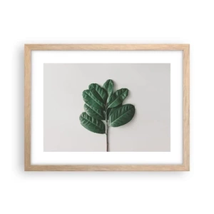Plakát v rámu světlý dub - Kresba samotné přírody - 40x30 cm