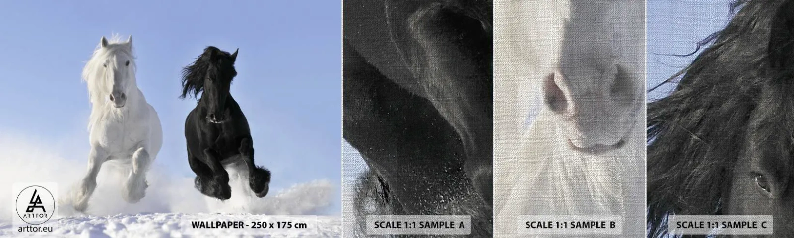 Vzor Fototapety Premium Canvas - Černo-bílý cval - Zvířata, Kůň, Zima - 100x30 cm