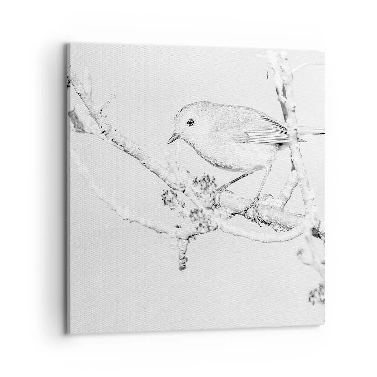 Obraz na plátně - Zimní ráno - 60x60 cm