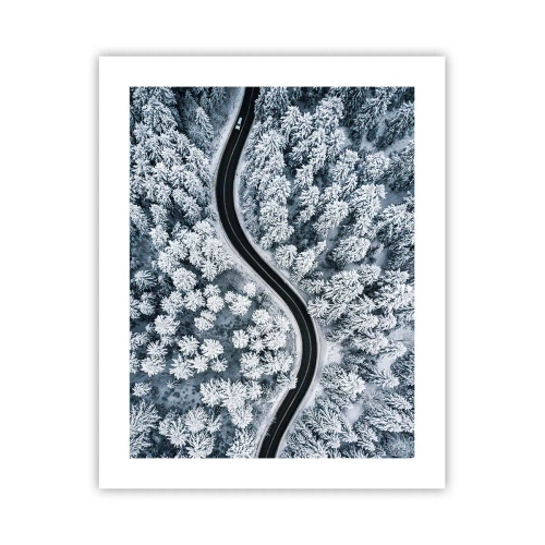 Plakát - Zimním lesem - 40x50 cm