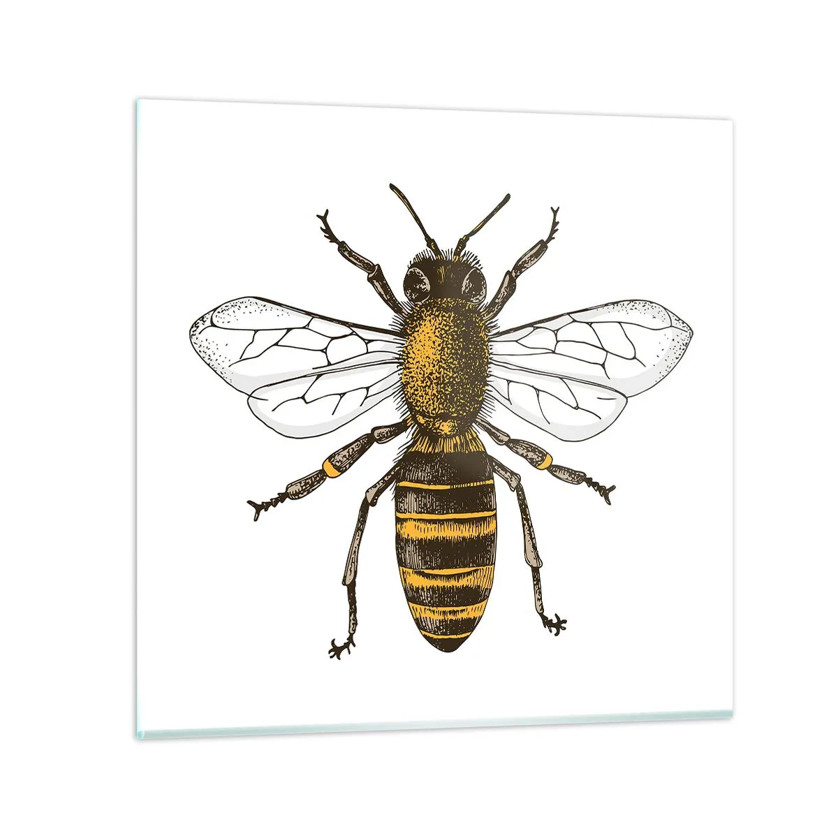 Obraz na skle - Krásná a dobrá - 50x50 cm