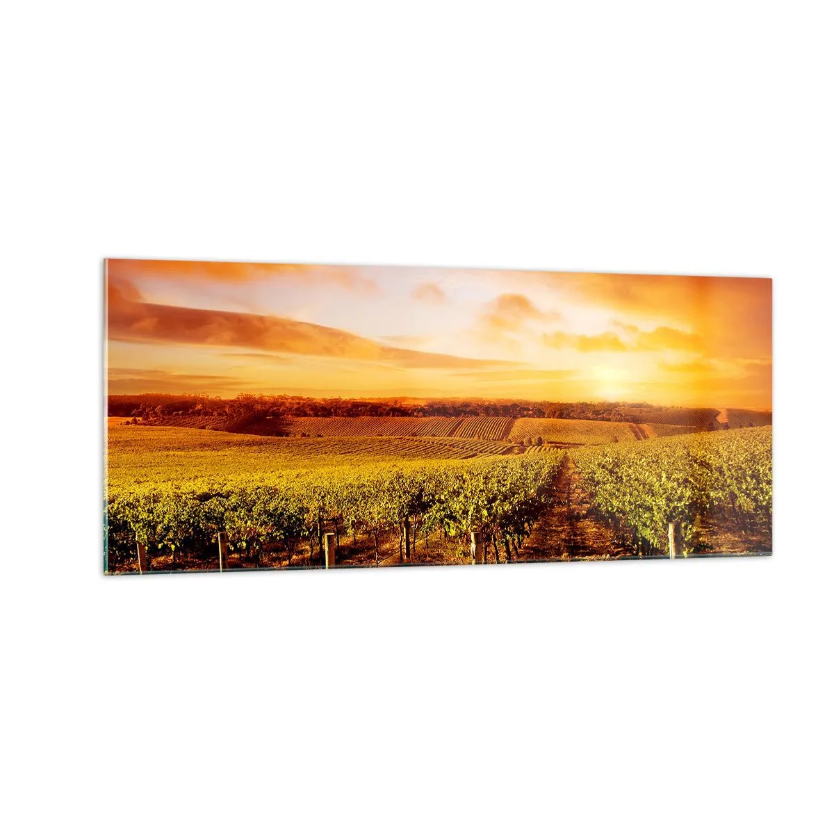Obraz na skle - Jemně ovocné s tónem slunce - 100x40 cm