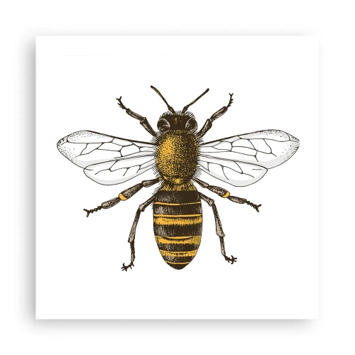 Plakát - Krásná a dobrá - 50x50 cm