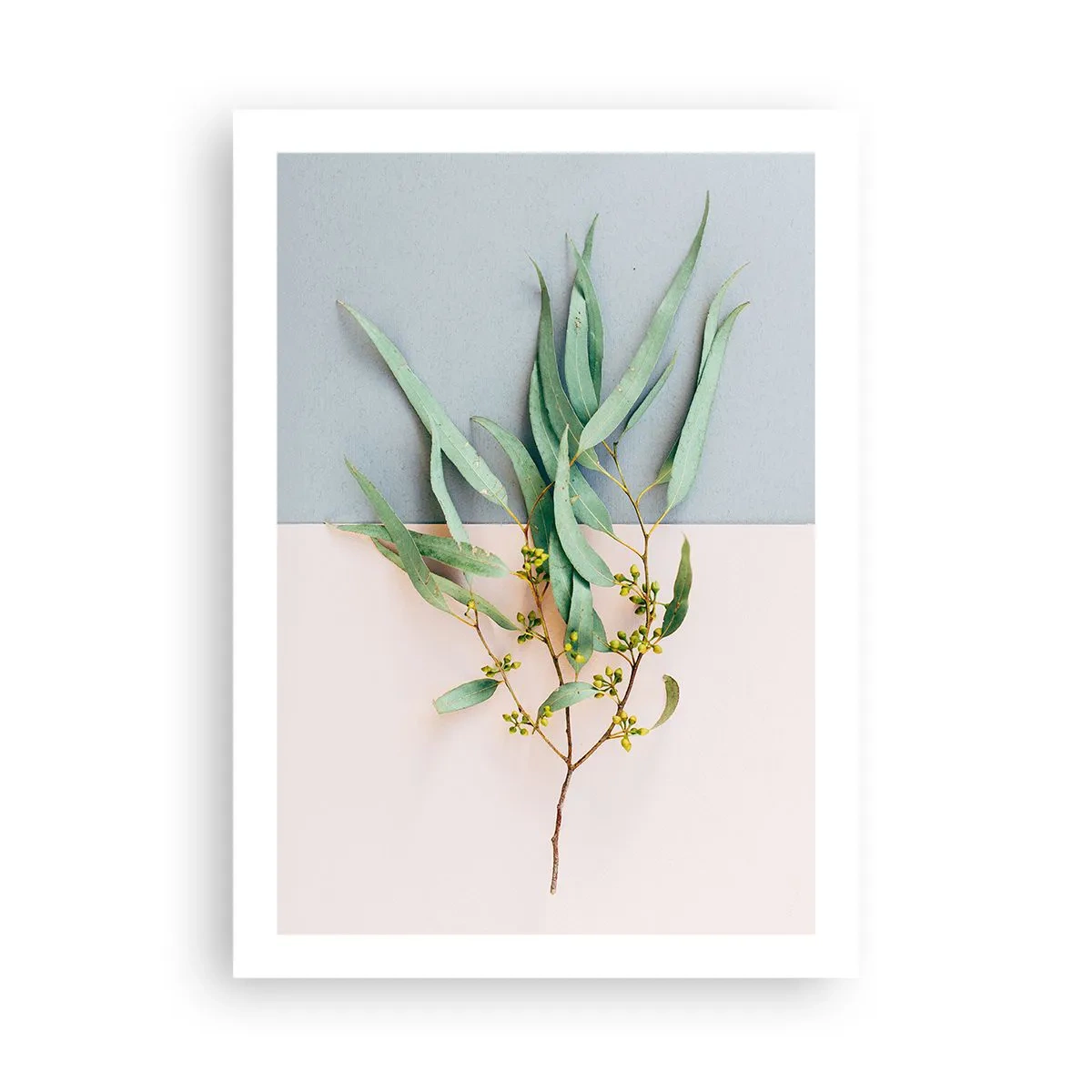 Plakát - Pastelová jemnost - 50x70 cm