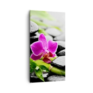 Obraz na plátně - V klidné rovnováze - 55x100 cm