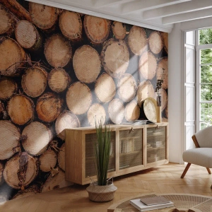 Fototapeta Premium Sand - Nový začátek - Dřevo, Dřevěné kulatiny, Příroda - 350x256 cm