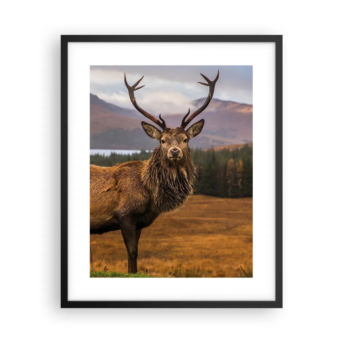 Plakát v černém rámu - Majestát přírody - 40x50 cm