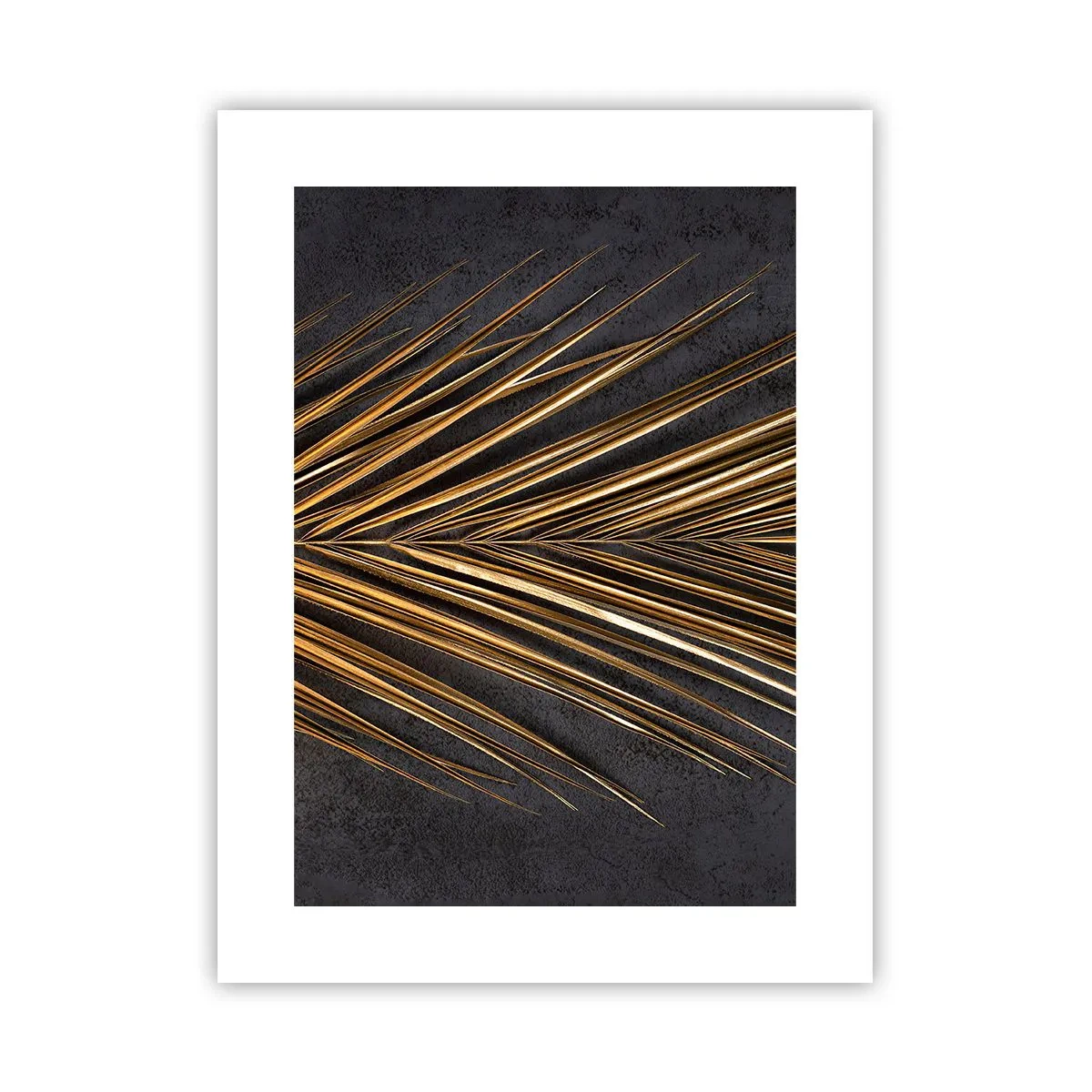 Plakát - Zlato tropů - 30x40 cm