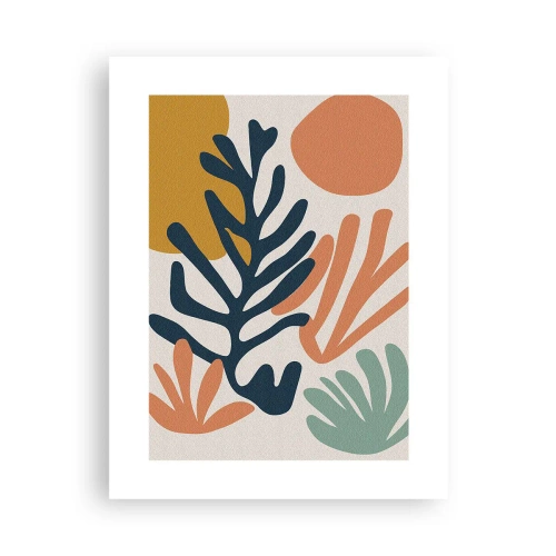 Plakát - Korálová moře - 30x40 cm