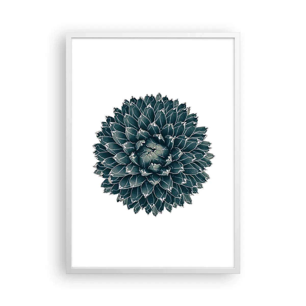 Plakát v bílém rámu - Hvězda pouště - 50x70 cm