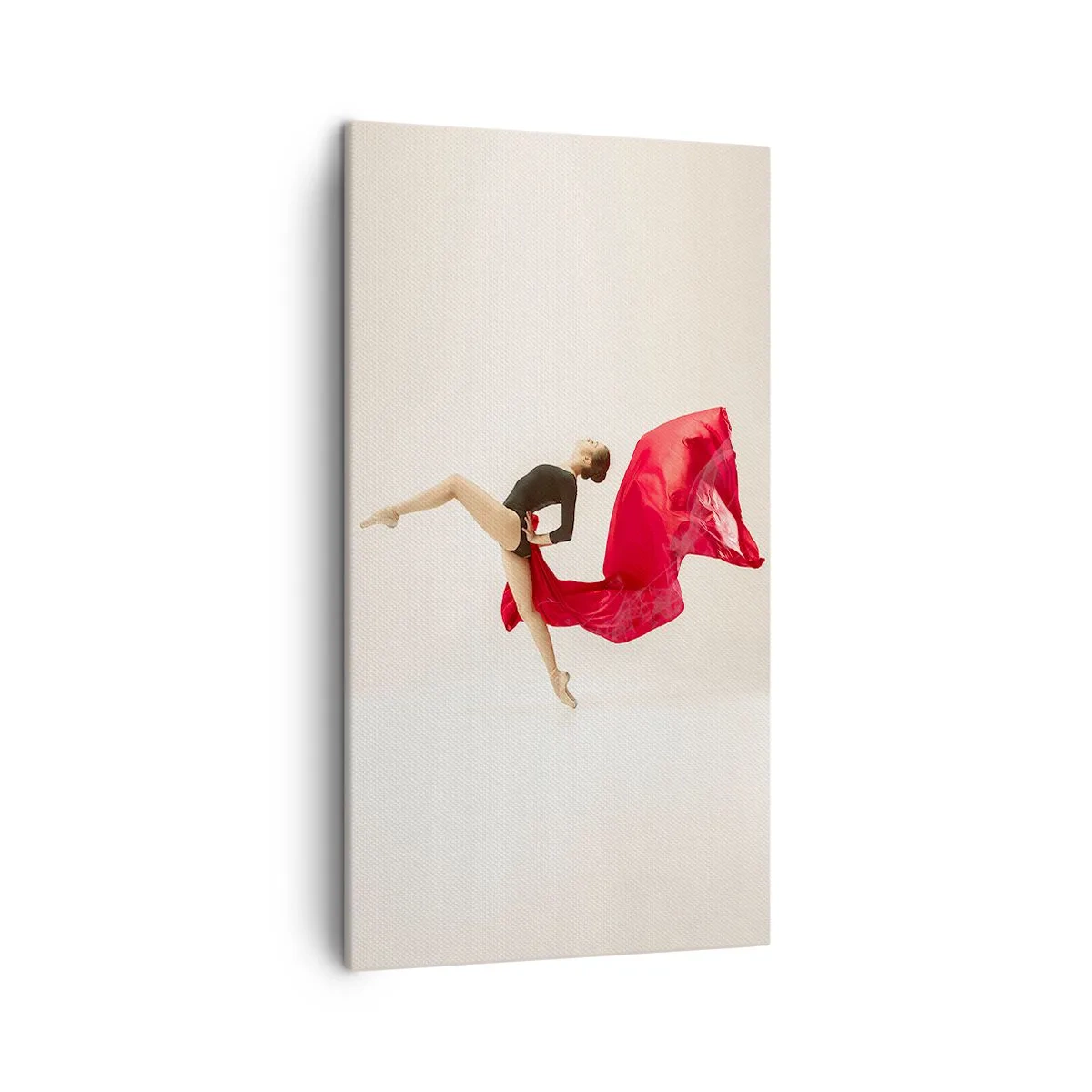 Obraz na plátně - Červené a černé - 45x80 cm