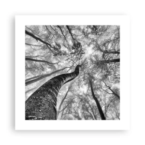 Plakát - Závod ke světlu - 40x40 cm