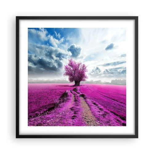 Plakát v černém rámu - Vřesoviště - divočina - 50x50 cm