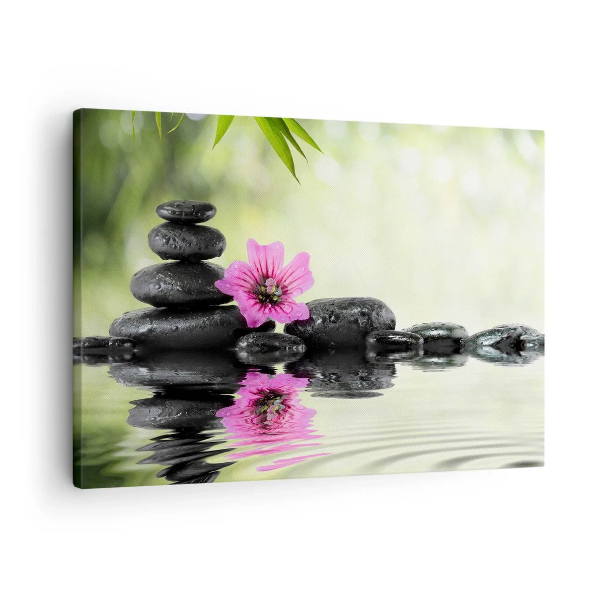 Obraz na plátně - Zenové kameny a růžový květ odrážející se ve vodě - 70x50cm - Čas pro duši - Moderní nástěnná dekorace do obývacího pokoje a ložnice ARTTOR