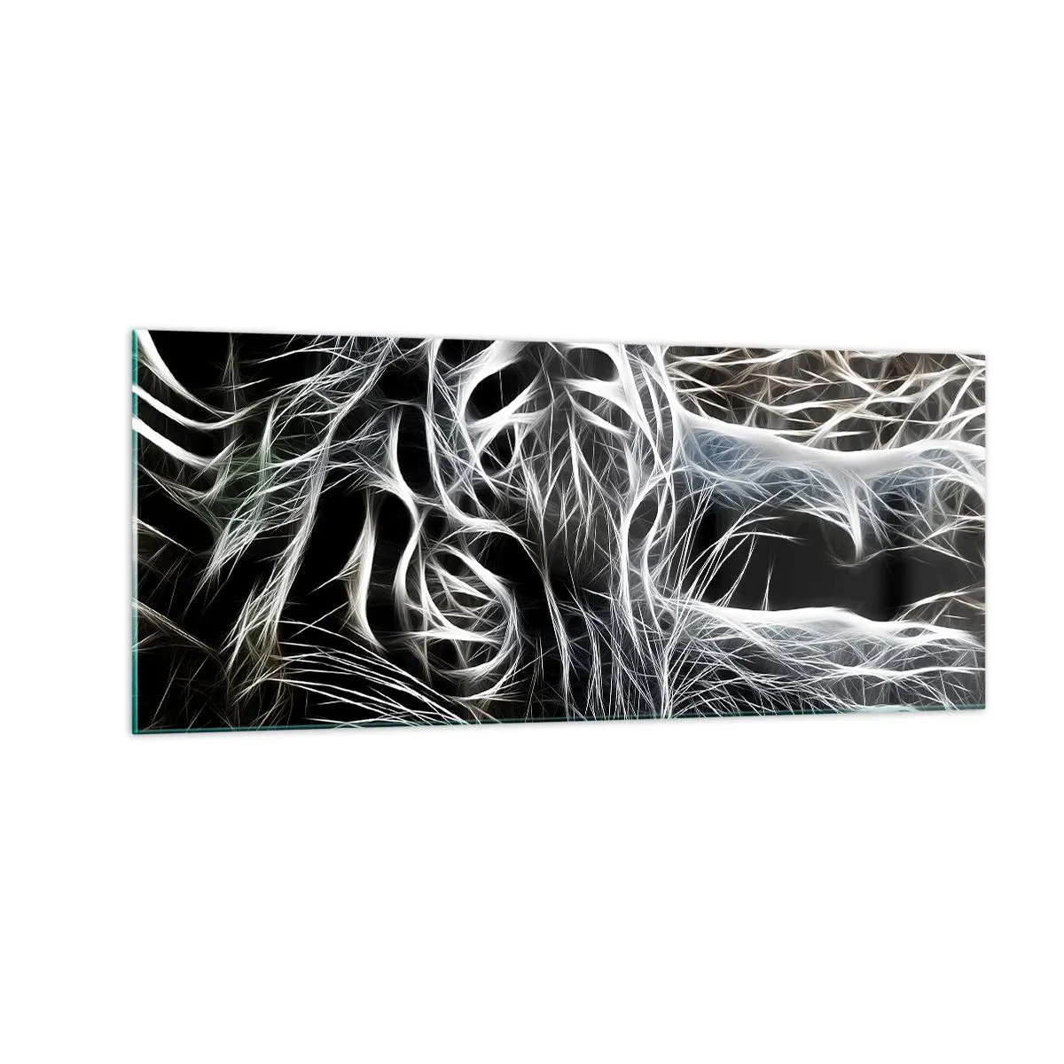 Obraz na skle - Studie kočičí lehkosti - 100x40 cm