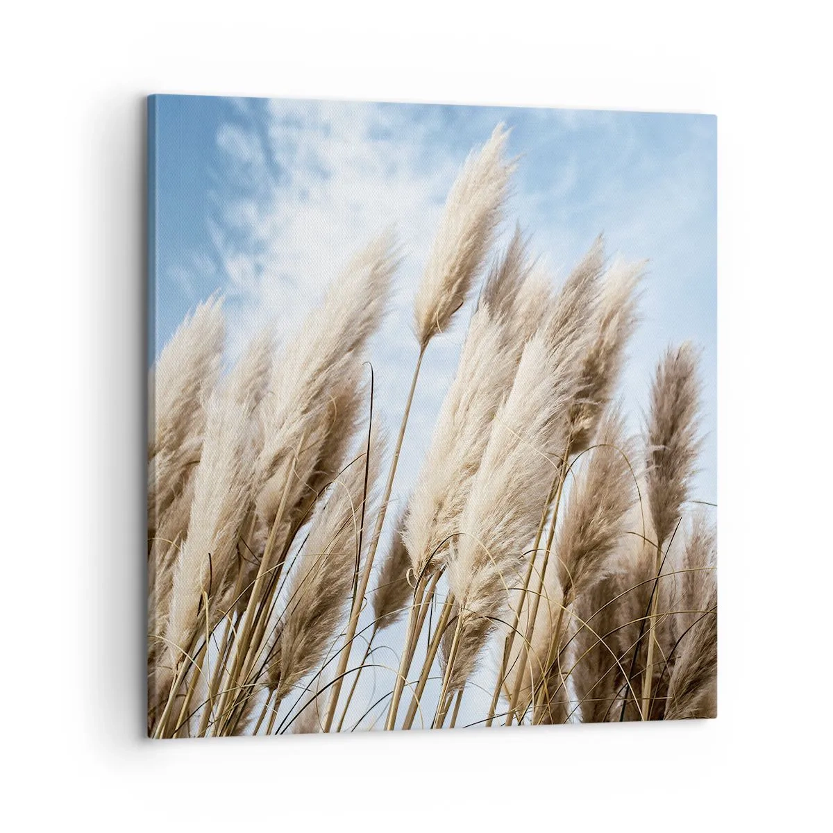 Obraz na plátně - Slunečné a větrné pohlazení - 60x60 cm