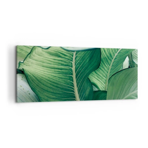 Obraz na plátně - Intenzivně zelený život - 100x40 cm