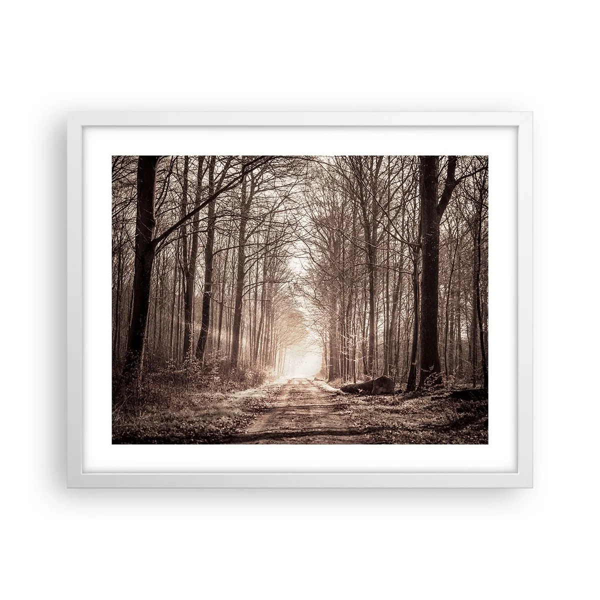 Plakát v bílém rámu - Lesní katedrála - 50x40 cm