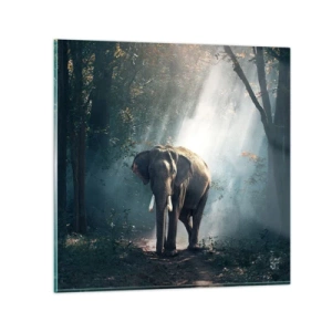 Obraz na skle - Klidná procházka - 40x40 cm