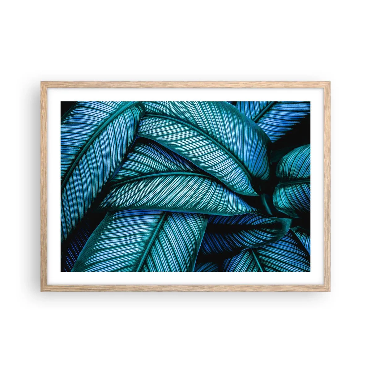 Plakát v rámu světlý dub - Čáry života - 70x50 cm