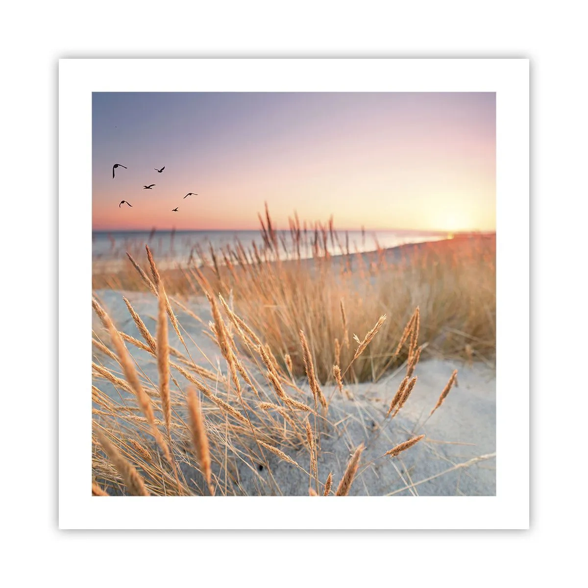 Plakát - Baltská ukolébavka - 50x50 cm