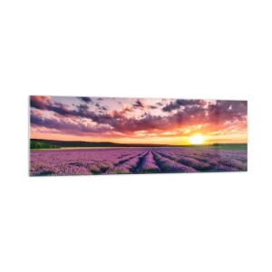 Obraz na skle - Levandulový svět - 160x50 cm