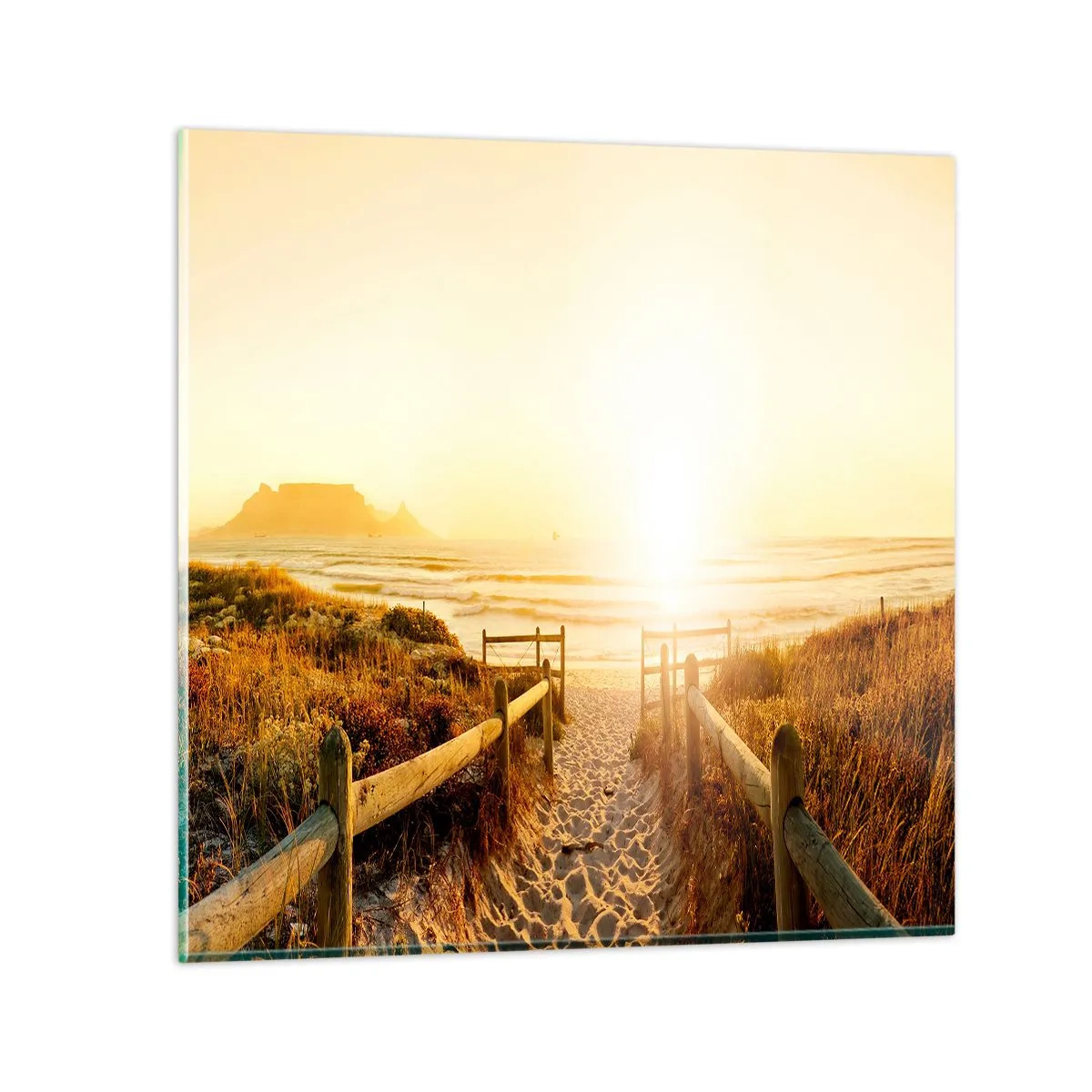 Obraz na skle - Dunami směrem ke slunci - 60x60 cm