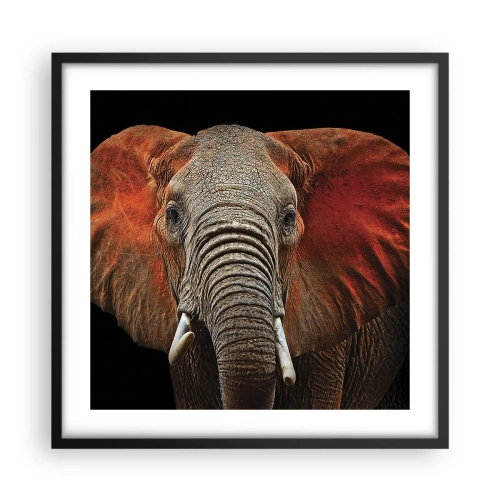 Plakát v černém rámu - Jsem divoký, a ty? - 50x50 cm