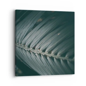 Obraz na plátně - Přesnost přírody - 40x40 cm