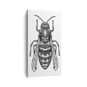 Obraz na plátně - Z hmyzí planety - 45x80 cm