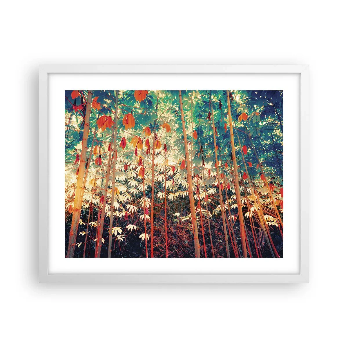 Plakát v bílém rámu - Tajný život listů - 50x40 cm