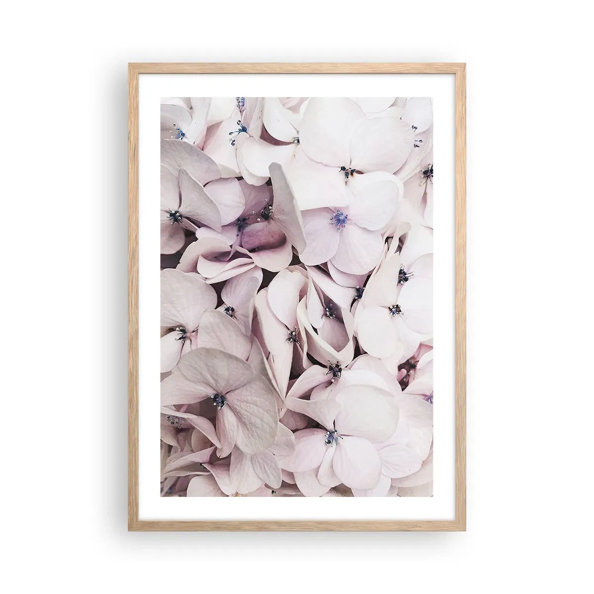 Plakát v rámu světlý dub - V záplavě květin - 50x70 cm