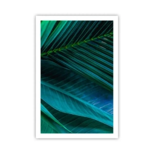 Plakát - Anatomie zelené - 61x91 cm