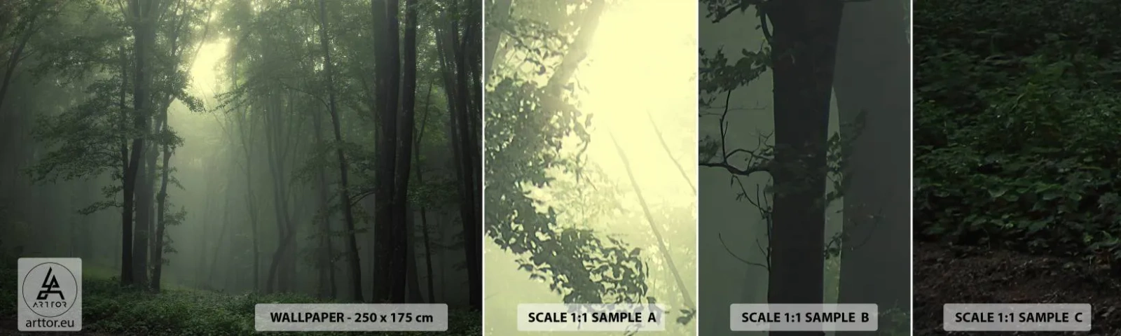 Fototapeta Vzorek Standard Eco - Než se probudí - Krajina, Les, Příroda - 100x30 cm