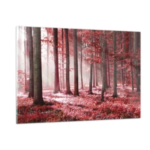 Obraz na skle - Červená je stejně krásná - 120x80 cm