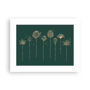 Plakát - Bylinky - 40x30 cm