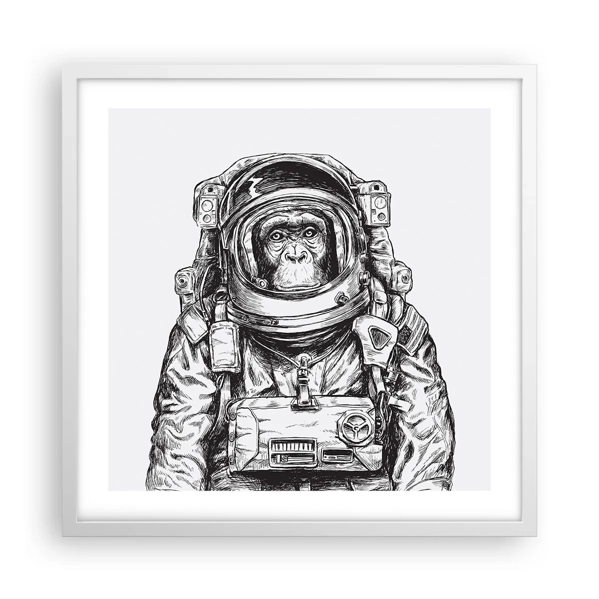 Plakát v bílém rámu - Alternativní vývoj - 50x50 cm