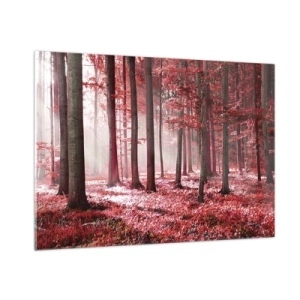 Obraz na skle - Červená je stejně krásná - 100x70 cm